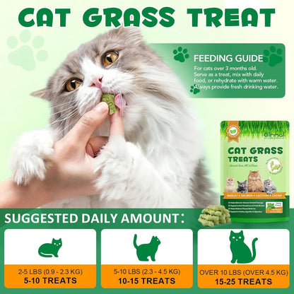 Azora Cat Grass Treats